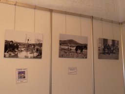 Feria Artesanía y más